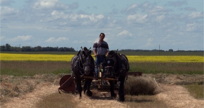 EIFF REVIEW: The Auctioneer like an Alberta landscape painting