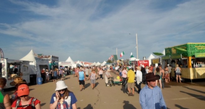 COMMENT: WTF at the BVJ?
