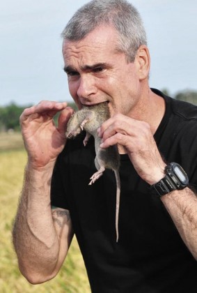 Rats-283x420.jpg