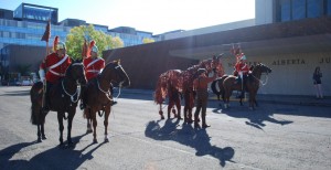 War Horse GigCity Edmonton