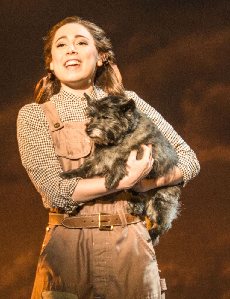 The Wizard of Oz GigCity Edmonton