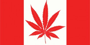 HAPPY 420: Legal cannabis is a rip-off!