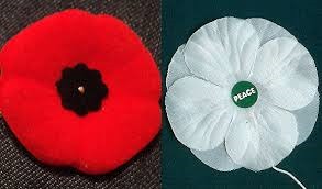 Red and White Poppy GigCity Edmonton